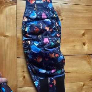 Doggie male belly wrap